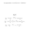 MONOMETHYLVALINE COMPOUNDS CAPABLE OF CONJUGATION TO LIGANDS diagram and image