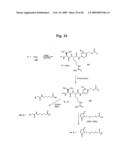 MONOMETHYLVALINE COMPOUNDS CAPABLE OF CONJUGATION TO LIGANDS diagram and image