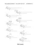 MODIFIED ALPHA-GALACTOSYL CERAMIDES FOR STAINING AND STIMULATING NATURAL KILLER T CELLS diagram and image