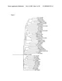 Anti-angiogenic peptides and methods of use thereof diagram and image