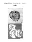 MULTILAYER POLYMER FILMS diagram and image