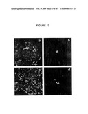 MULTILAYER POLYMER FILMS diagram and image