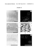 MULTILAYER POLYMER FILMS diagram and image