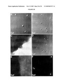 MULTILAYER POLYMER FILMS diagram and image