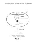 Methods and compositions for determining the pathogenic status of infectious agents diagram and image