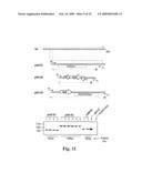 Methods and compositions for determining the pathogenic status of infectious agents diagram and image