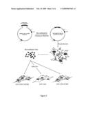 QUANTITATIVE HIV PHENOTYPE OR TROPISM ASSAY diagram and image