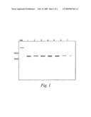 Methods and Compositions For Identifying and Characterizing Hepatitis C diagram and image