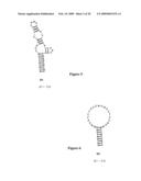 HYBRIDIZATION-BASED BIOSENSOR CONTAINING HAIRPIN PROBES AND USE THEREOF diagram and image