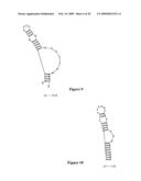 HYBRIDIZATION-BASED BIOSENSOR CONTAINING HAIRPIN PROBES AND USE THEREOF diagram and image