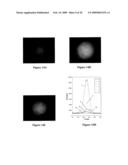 HYBRIDIZATION-BASED BIOSENSOR CONTAINING HAIRPIN PROBES AND USE THEREOF diagram and image