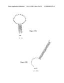 HYBRIDIZATION-BASED BIOSENSOR CONTAINING HAIRPIN PROBES AND USE THEREOF diagram and image