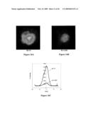 HYBRIDIZATION-BASED BIOSENSOR CONTAINING HAIRPIN PROBES AND USE THEREOF diagram and image