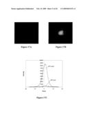 HYBRIDIZATION-BASED BIOSENSOR CONTAINING HAIRPIN PROBES AND USE THEREOF diagram and image