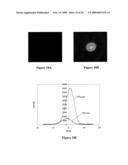 HYBRIDIZATION-BASED BIOSENSOR CONTAINING HAIRPIN PROBES AND USE THEREOF diagram and image