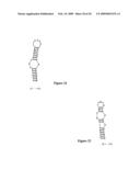 HYBRIDIZATION-BASED BIOSENSOR CONTAINING HAIRPIN PROBES AND USE THEREOF diagram and image