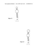 HYBRIDIZATION-BASED BIOSENSOR CONTAINING HAIRPIN PROBES AND USE THEREOF diagram and image