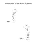 HYBRIDIZATION-BASED BIOSENSOR CONTAINING HAIRPIN PROBES AND USE THEREOF diagram and image