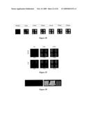 HYBRIDIZATION-BASED BIOSENSOR CONTAINING HAIRPIN PROBES AND USE THEREOF diagram and image