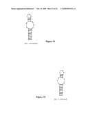 HYBRIDIZATION-BASED BIOSENSOR CONTAINING HAIRPIN PROBES AND USE THEREOF diagram and image