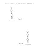 HYBRIDIZATION-BASED BIOSENSOR CONTAINING HAIRPIN PROBES AND USE THEREOF diagram and image