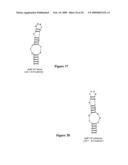 HYBRIDIZATION-BASED BIOSENSOR CONTAINING HAIRPIN PROBES AND USE THEREOF diagram and image