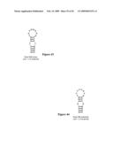 HYBRIDIZATION-BASED BIOSENSOR CONTAINING HAIRPIN PROBES AND USE THEREOF diagram and image