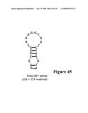 HYBRIDIZATION-BASED BIOSENSOR CONTAINING HAIRPIN PROBES AND USE THEREOF diagram and image