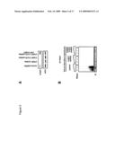 Telomerase RNA Subunit and Methods of Use Thereof diagram and image