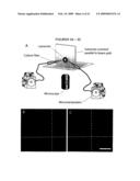 System and method for obtaining and maintaining high-resistance seals in patch clamp recordings diagram and image