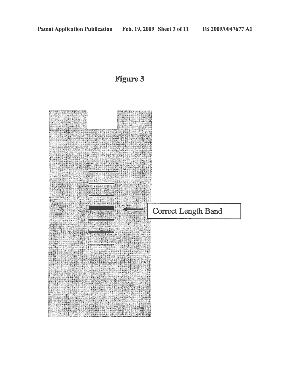 METHODS FOR GENERATING A DISTRIBUTION OF OPTIMAL SOLUTIONS TO NONDETERMINISTIC POLYNOMIAL OPTIMIZATION PROBLEMS - diagram, schematic, and image 04