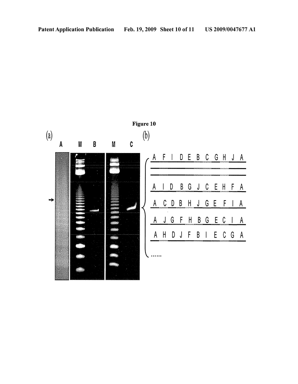 METHODS FOR GENERATING A DISTRIBUTION OF OPTIMAL SOLUTIONS TO NONDETERMINISTIC POLYNOMIAL OPTIMIZATION PROBLEMS - diagram, schematic, and image 11