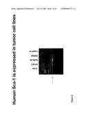 Human LY6-Big Molecules and Methods of Use diagram and image