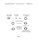 BULK NEGATIVE INDEX OF REFRACTION MATERIALS WITH RESPONSE IN THE VISIBLE diagram and image