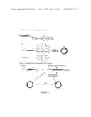 BULK NEGATIVE INDEX OF REFRACTION MATERIALS WITH RESPONSE IN THE VISIBLE diagram and image