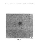 METHOD OF FORMING STABLE FUNCTIONALIZED NANOPARTICLES diagram and image