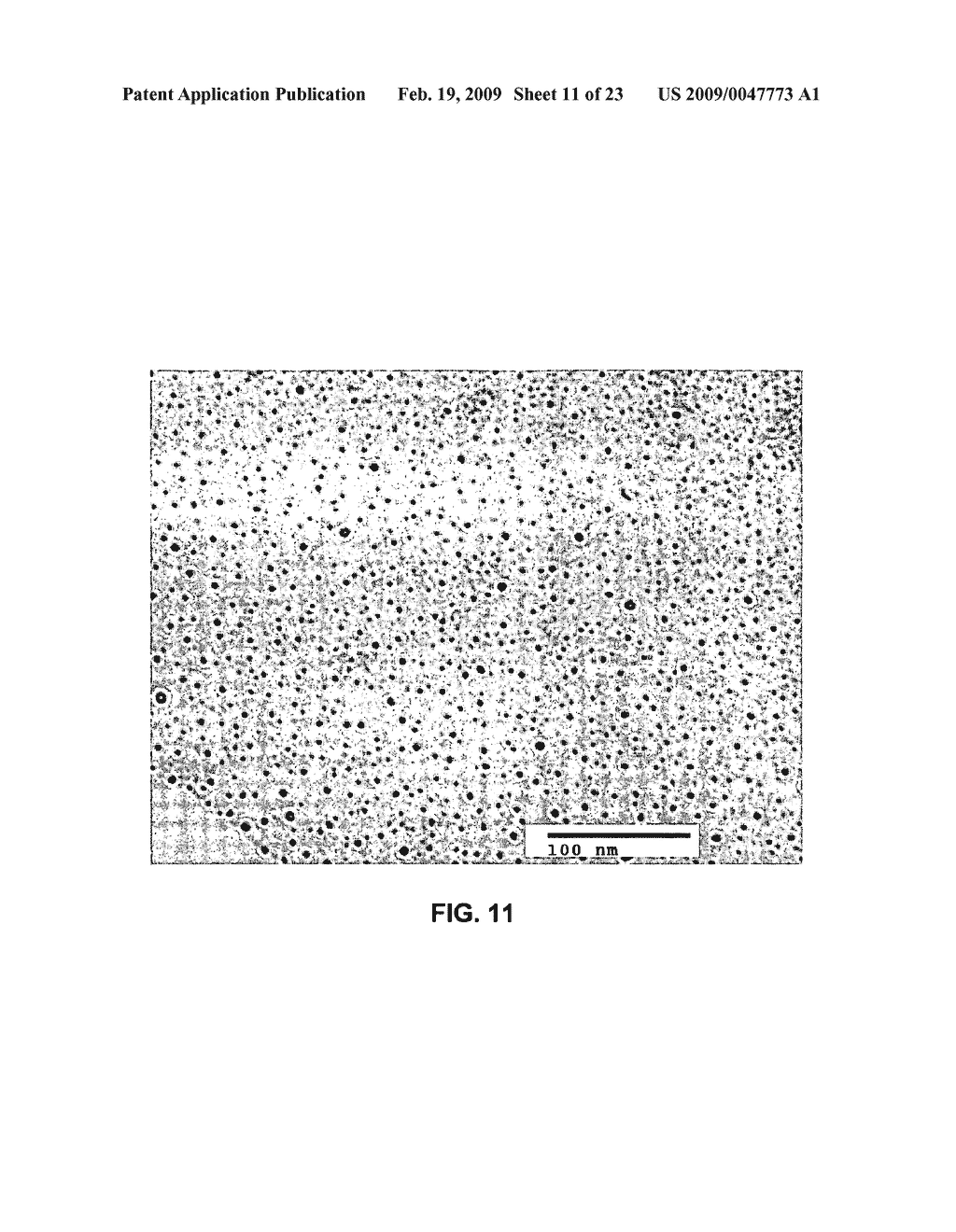 METHOD OF FORMING STABLE FUNCTIONALIZED NANOPARTICLES - diagram, schematic, and image 12