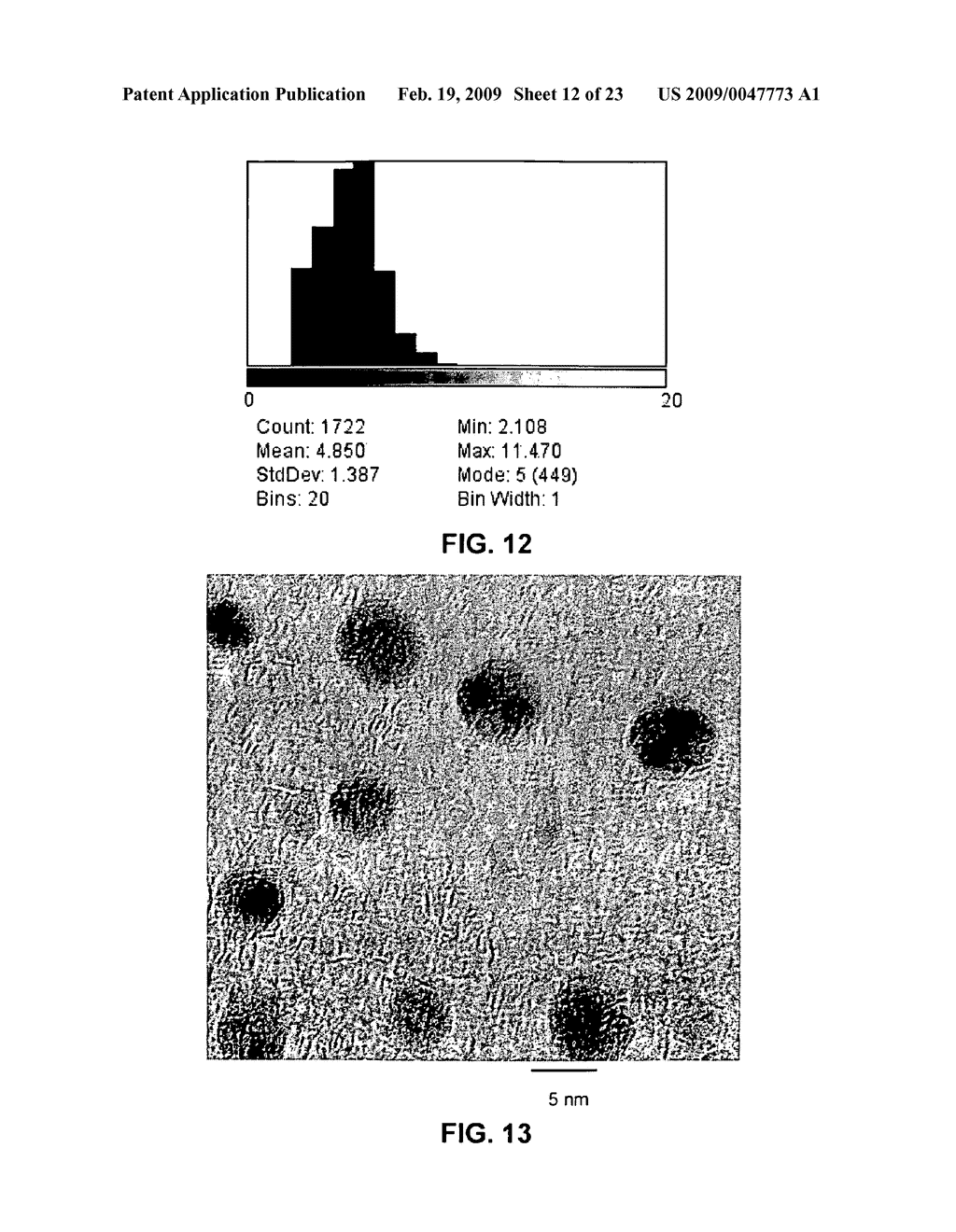 METHOD OF FORMING STABLE FUNCTIONALIZED NANOPARTICLES - diagram, schematic, and image 13