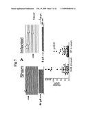 Vagal Afferent Neurons as Targets for Treatment diagram and image