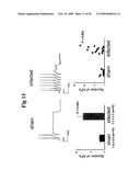 Vagal Afferent Neurons as Targets for Treatment diagram and image