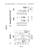 Vagal Afferent Neurons as Targets for Treatment diagram and image