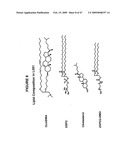 Lipid Nanoparticle Based Compositions and Methods for the Delivery of Biologically Active Molecules diagram and image