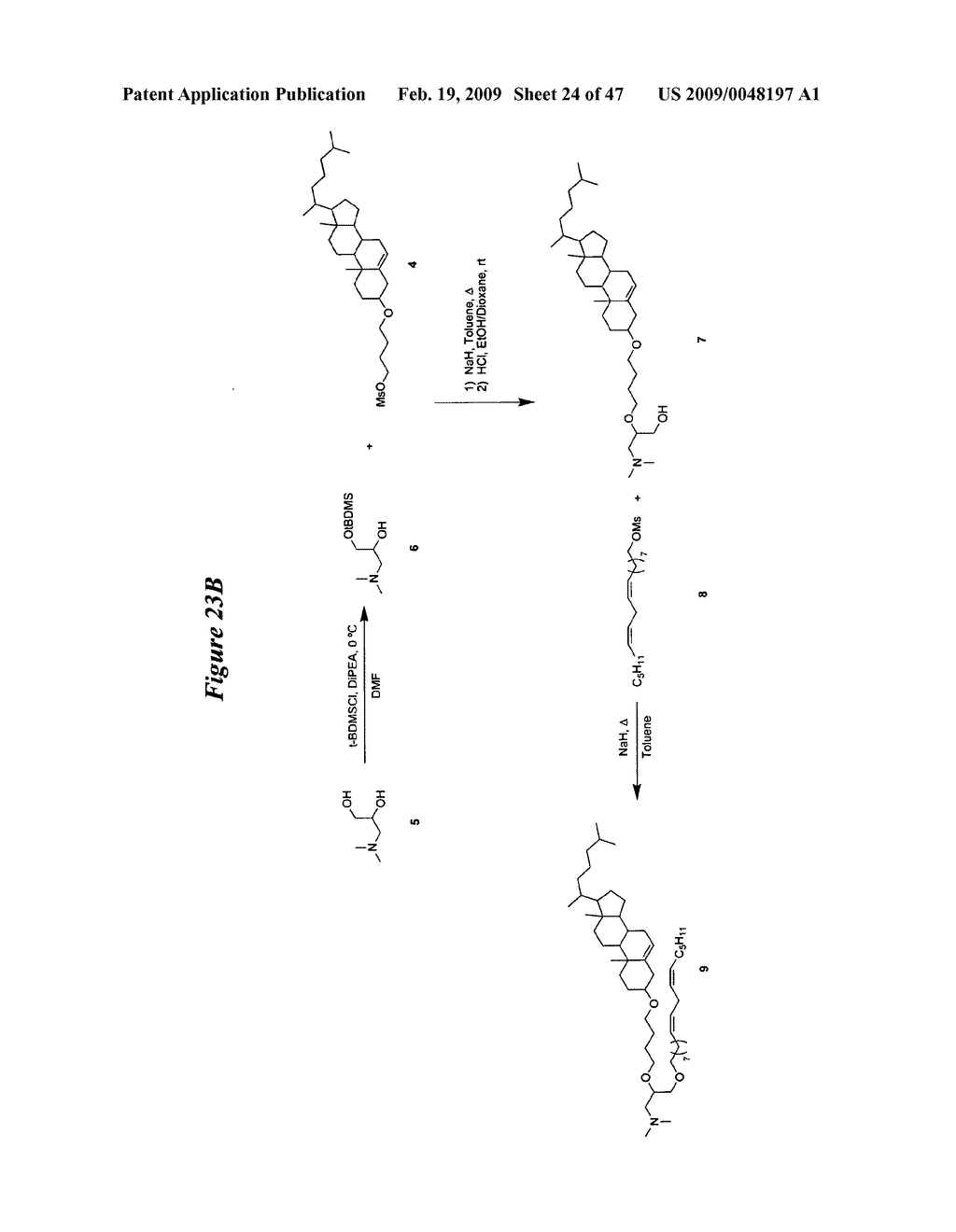 Lipid Nanoparticle Based Compositions and Methods for the Delivery of Biologically Active Molecules - diagram, schematic, and image 25