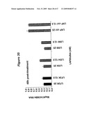 Lipid Nanoparticle Based Compositions and Methods for the Delivery of Biologically Active Molecules diagram and image