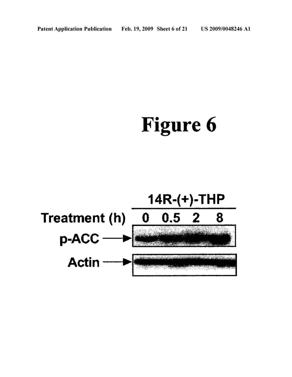 COMPOUNDS, COMPOSITIONS AND METHODS FOR REDUCING LIPID LEVELS - diagram, schematic, and image 07