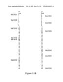 DIRECTIONAL EXPRESSION-BASED SCIENTIFIC INFORMATION KNOWLEDGE MANAGEMENT diagram and image