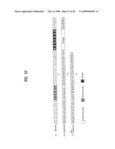 DIGITAL BROADCASTING SYSTEM AND DATA PROCESSING METHOD diagram and image