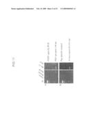 USING CYTOSINE DEAMINASES TO DIMINISH RETROELEMENT TRANSFER FROM PIGS TO HUMANS diagram and image