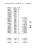 AUXIN TRANSPORT PROTEINS diagram and image