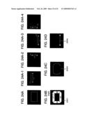 PATTERN SHAPE EVALUATION METHOD, PATTERN SHAPE EVALUATION DEVICE, PATTERN SHAPE EVALUATING DATA GENERATION DEVICE AND SEMICONDUCTOR SHAPE EVALUATION SYSTEM USING THE SAME diagram and image